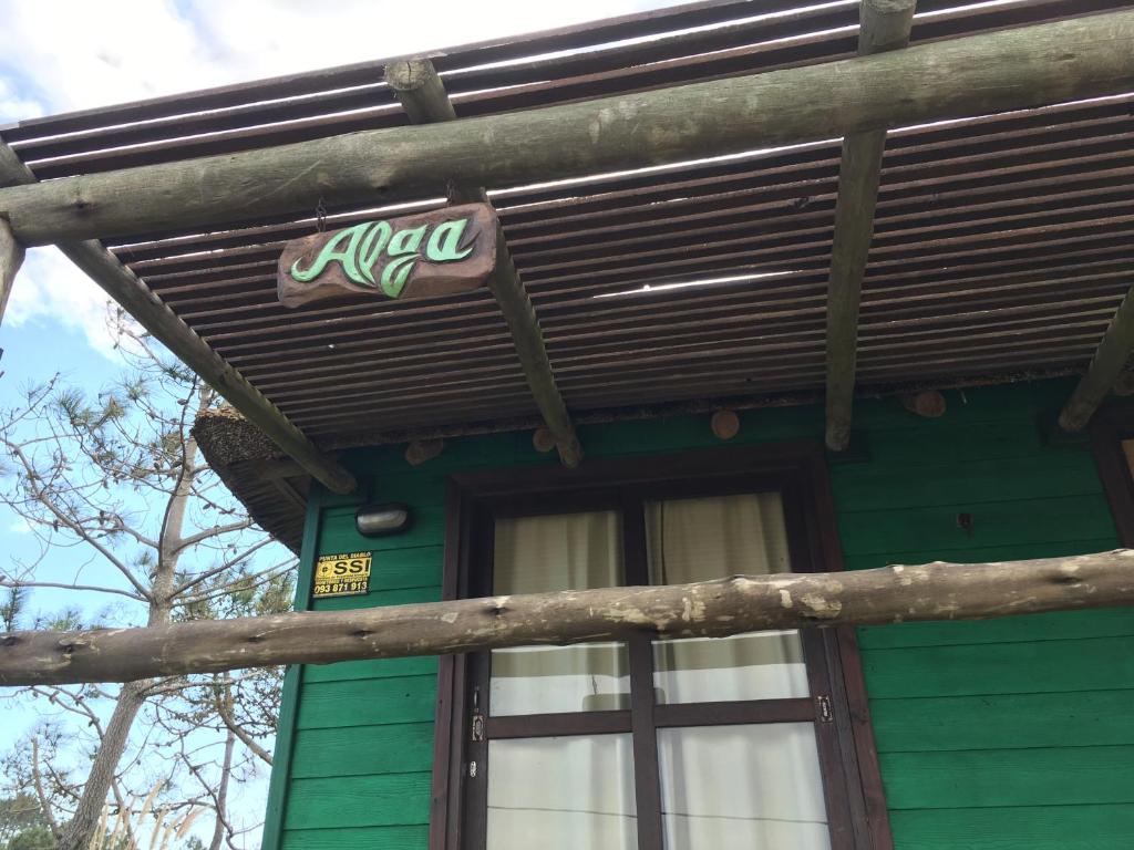 Alga photo 3