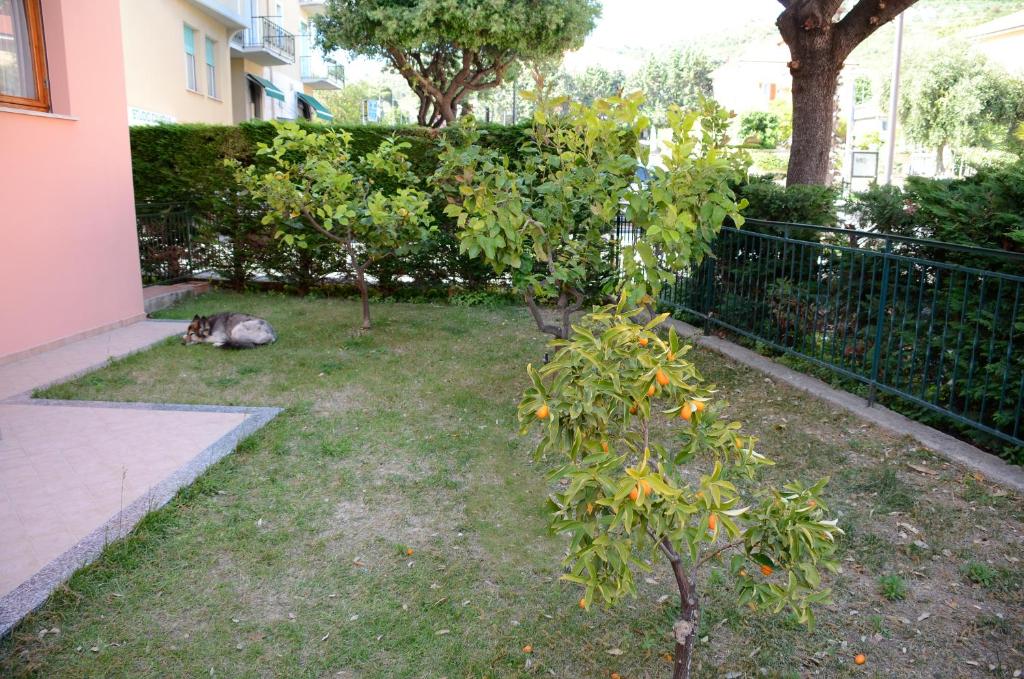 Appartamenti La Residenza photo 3