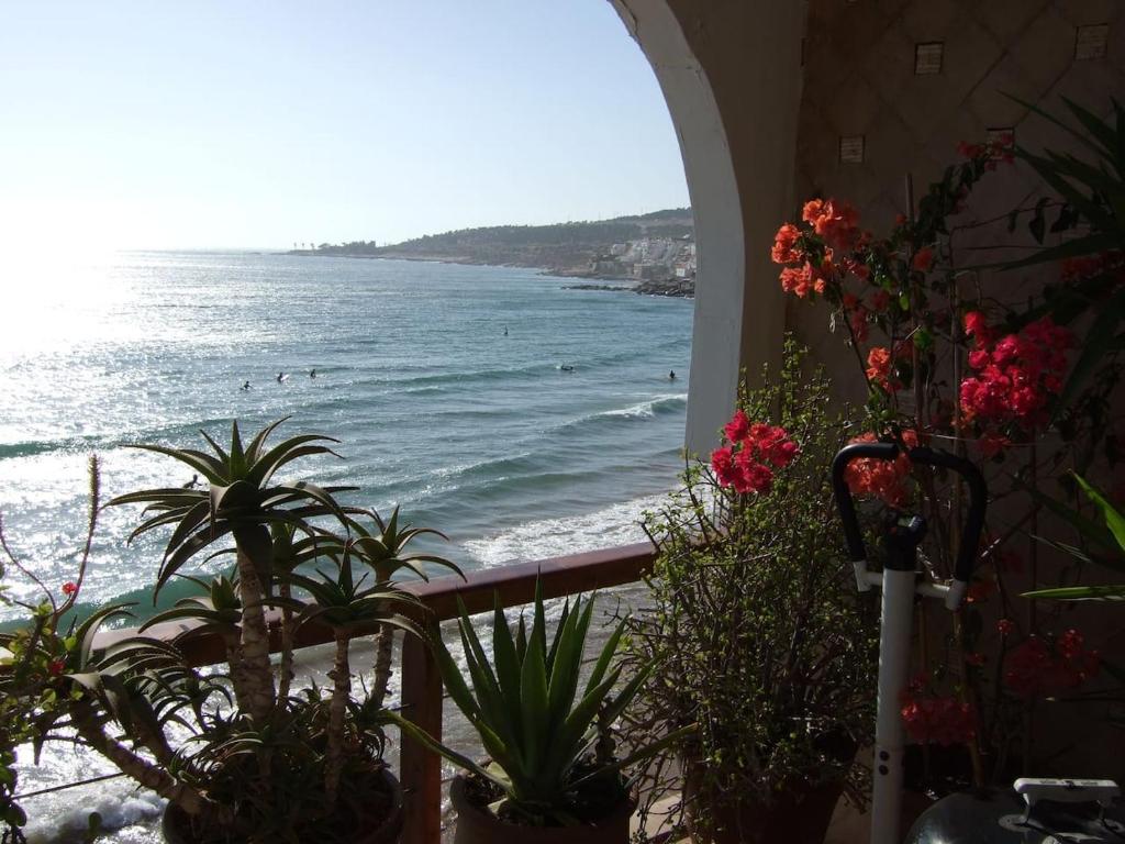 taghazout playa photo 4