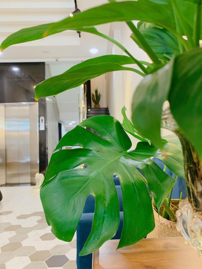 Cozy Private Home @ HCM D.5