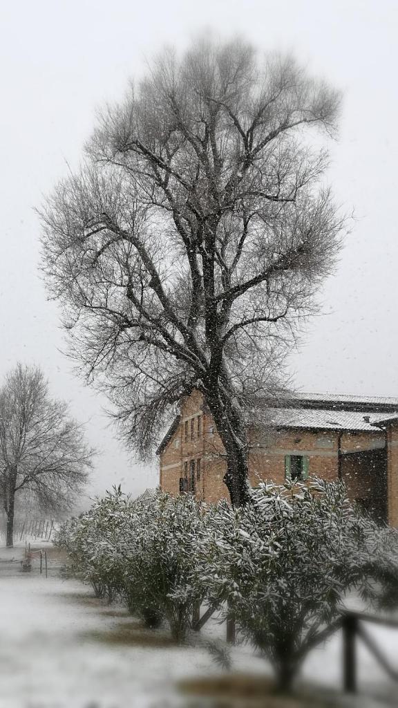 Agriturismo Le Giarine photo 1
