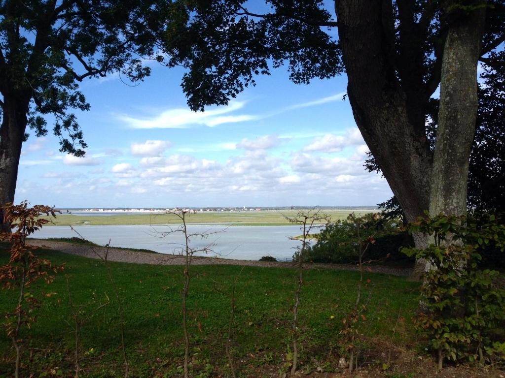 La Bassurelle photo 1