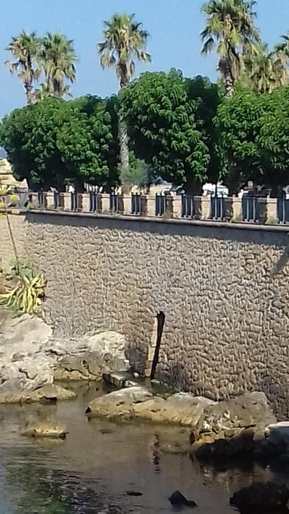 Alghero Tour photo 2