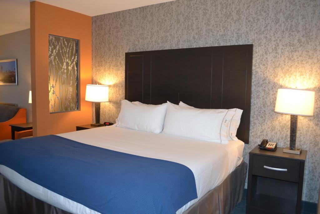 Holiday Inn Express Hotel & Suites Knoxville, an IHG Hotel photo 1