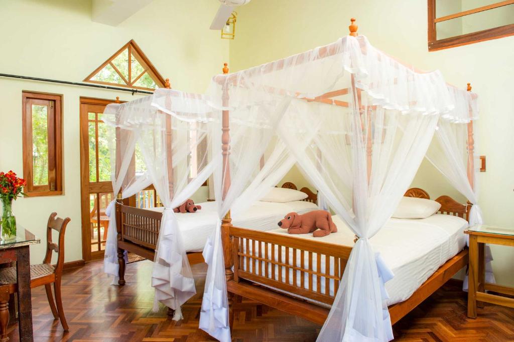 Villa Rosa photo 3