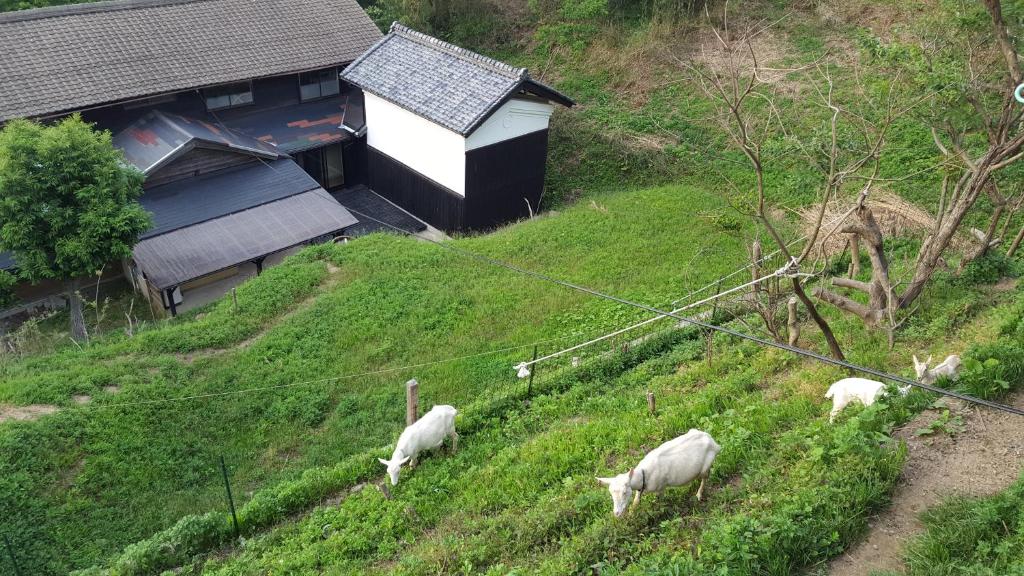 Asobi Lodge photo 2
