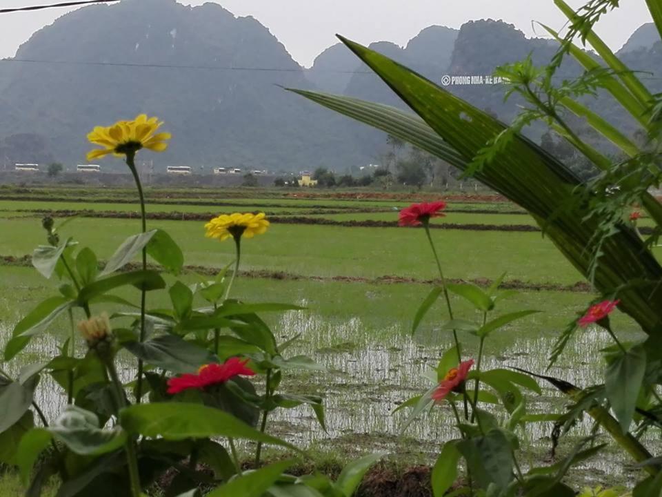 Hưng Phát Bungalow