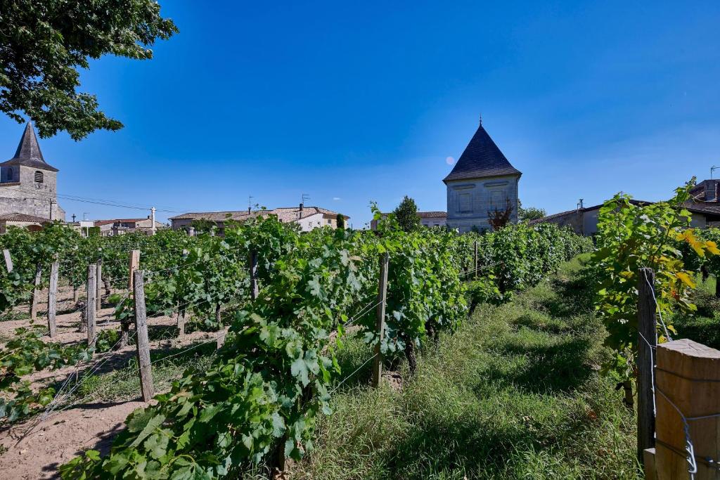 Luxurious Wine Estate Saint-Emilion Grand Cru with private swimming pool photo 4