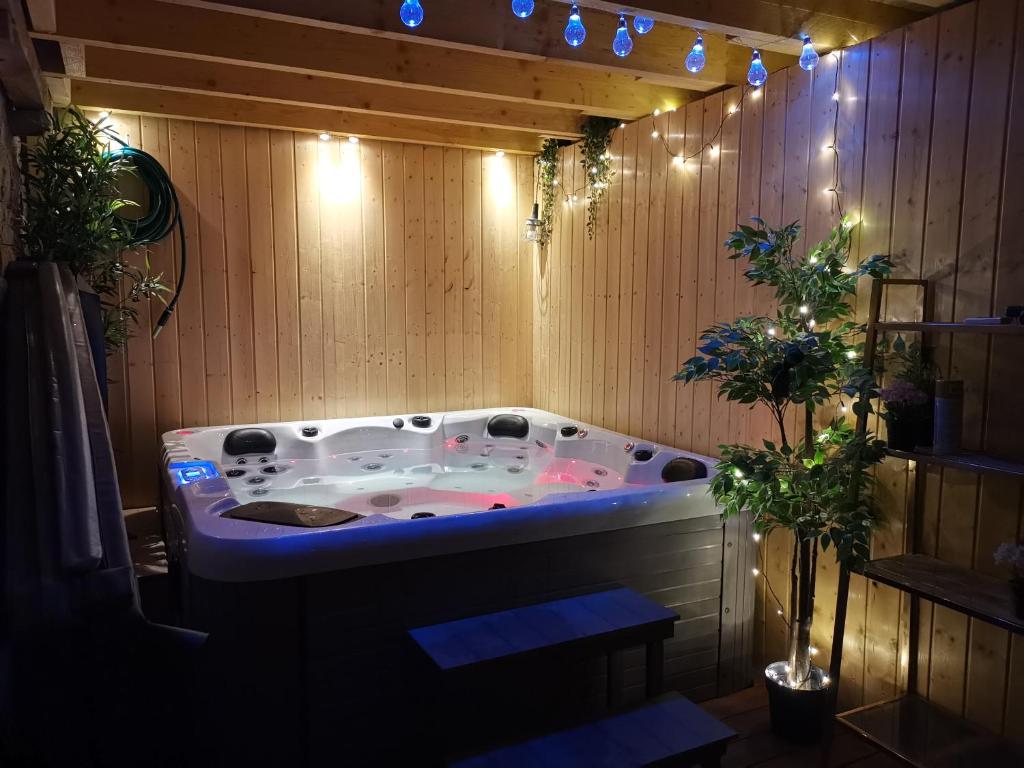 Domaine LVD avec SPA, bois et rivière privée photo 4