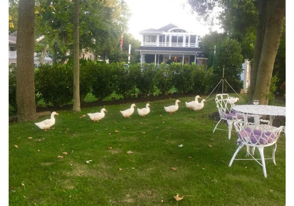 Walden on the Pond Hotel image