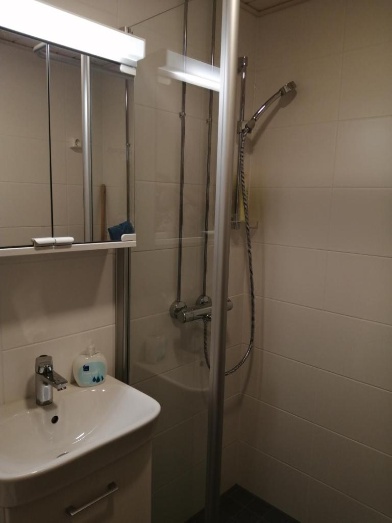 Laajavuori Apartment photo 4