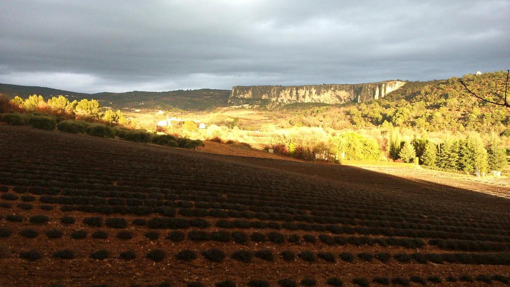 Les Vallons Holiday Home photo 4