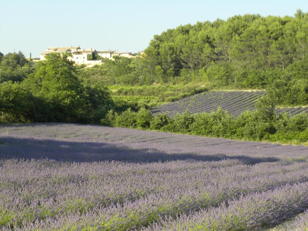 Les Vallons Holiday Home photo 2