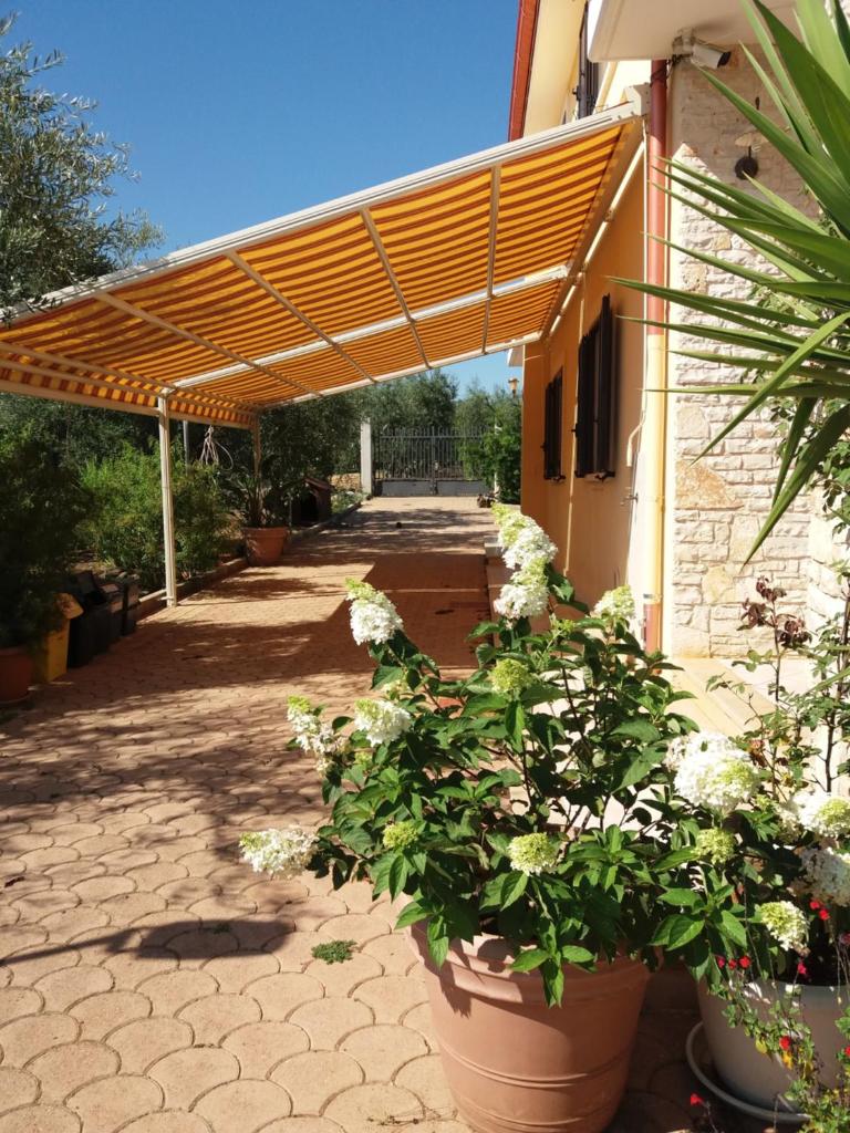 Villa Calendula photo 4
