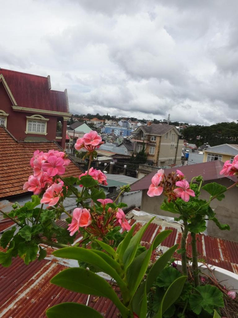 Blue Sky Homestay