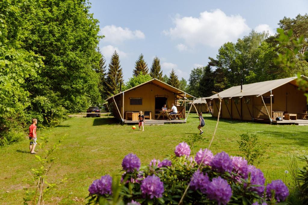 RCN Vakantiepark de Roggeberg photo 4