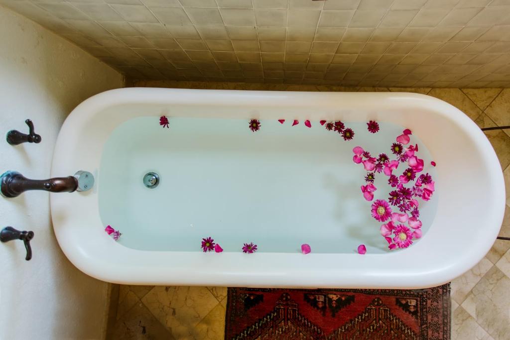 Сьюит (Junior Suite - San Gabriel), Hacienda San Angel