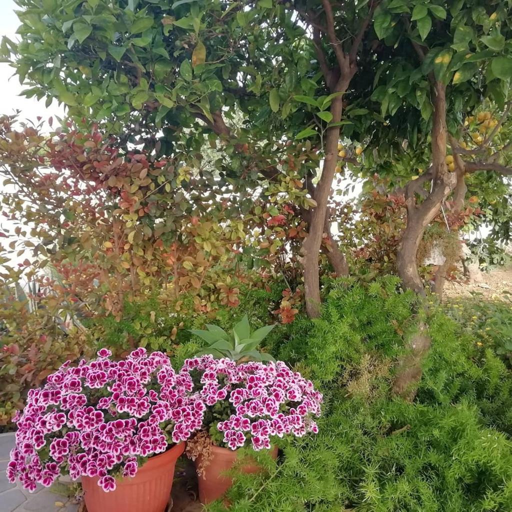 Home Scala dei Turchi B&B photo 2