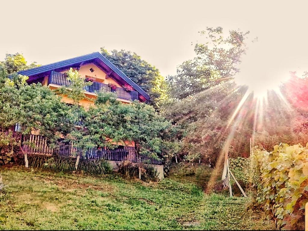 Apartman Potocki photo 3