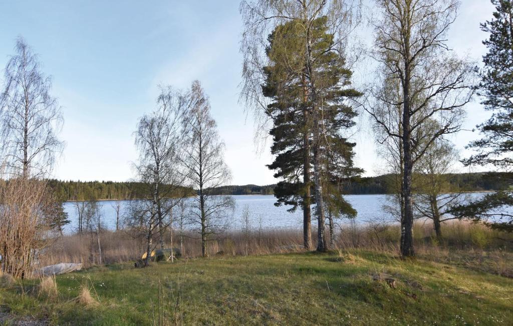 Amazing Home In Brunskog With 4 Bedrooms And Wifi photo 3