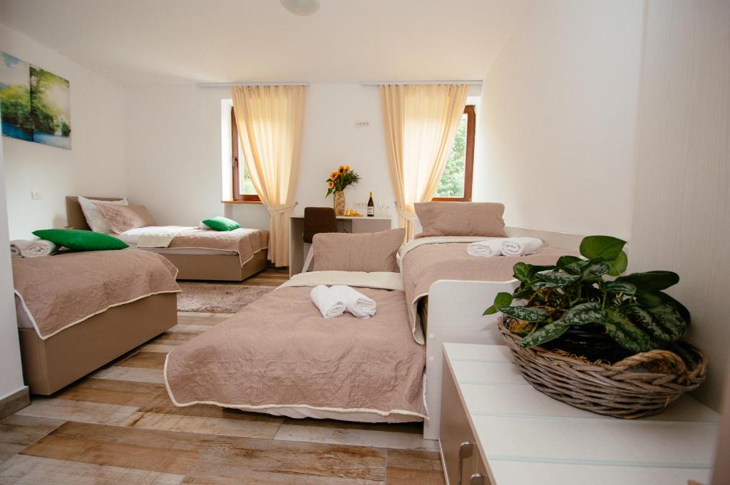 Sunny Rooms photo 3