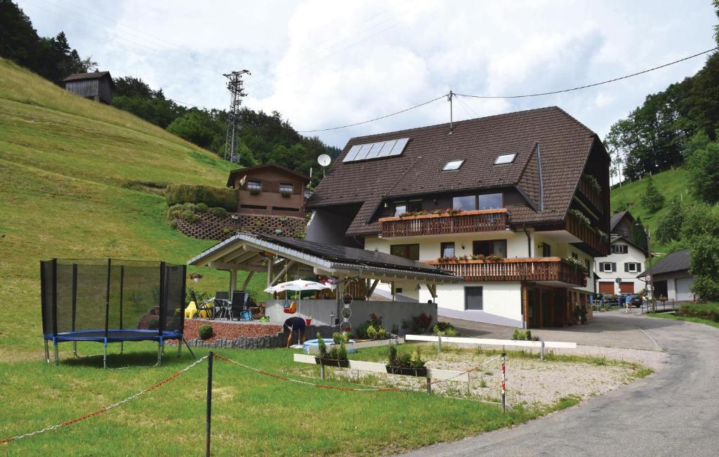 Beautiful Home In B, Peterstal-griesbach With Sauna, Wifi And 1 Bedrooms photo 1