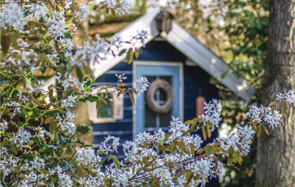 Het Pimpelmeesje photo 4