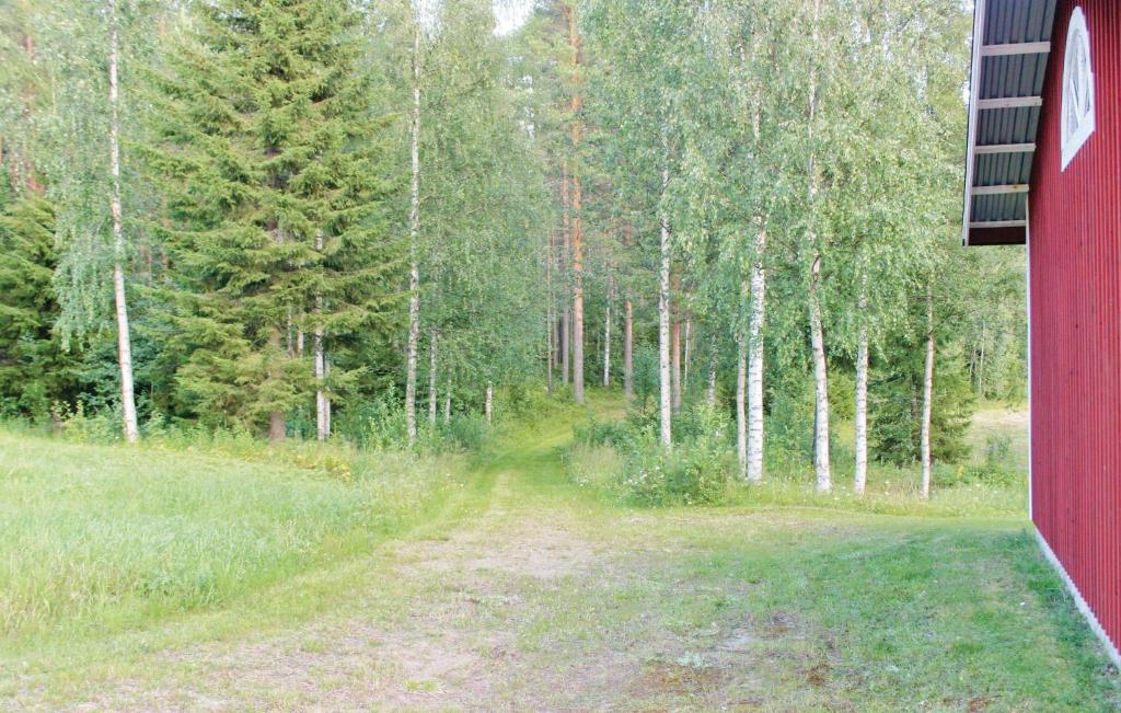 Beautiful Home In Vindeln With 2 Bedrooms And Wifi photo 4
