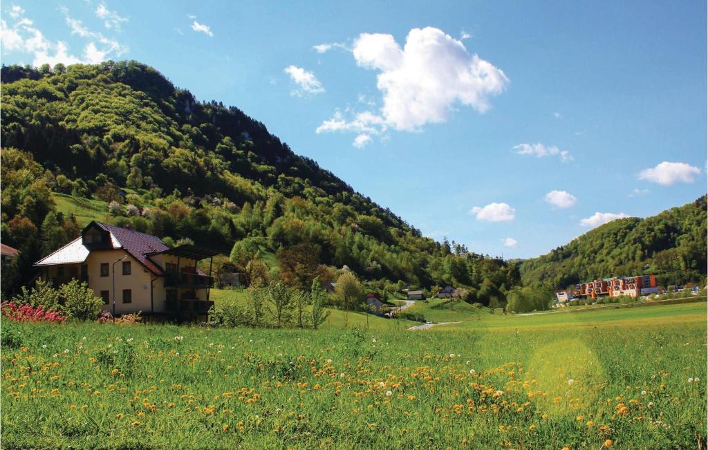 Amazing Apartment In Lasko With 2 Bedrooms, Wifi And Outdoor Swimming Pool photo 3