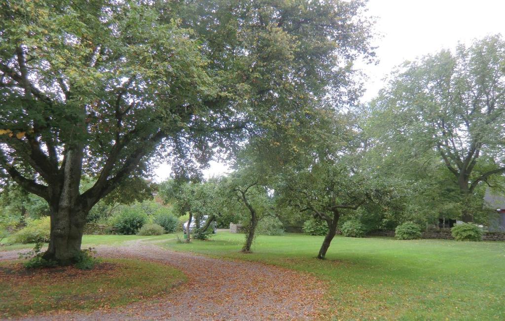 Nice Home In Borgholm With 1 Bedrooms photo 4