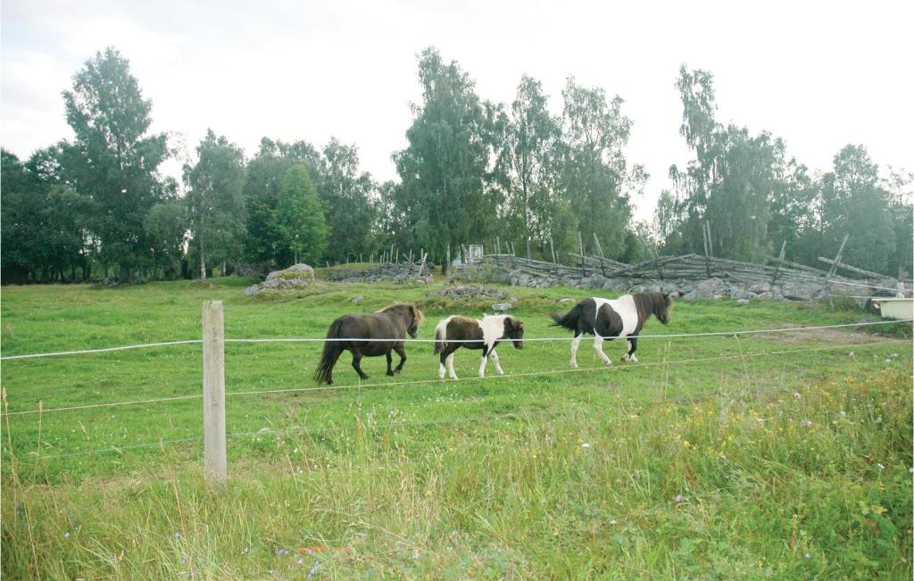 Awesome Home In Mullsj With 2 Bedrooms photo 4