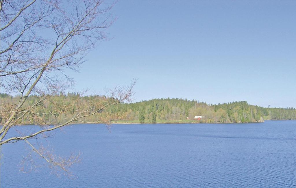 Beautiful Home In Smlandsstenar With 3 Bedrooms And Wifi photo 1