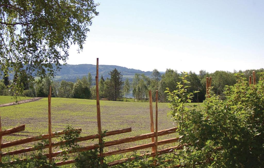 Haug Isakplassen photo 4