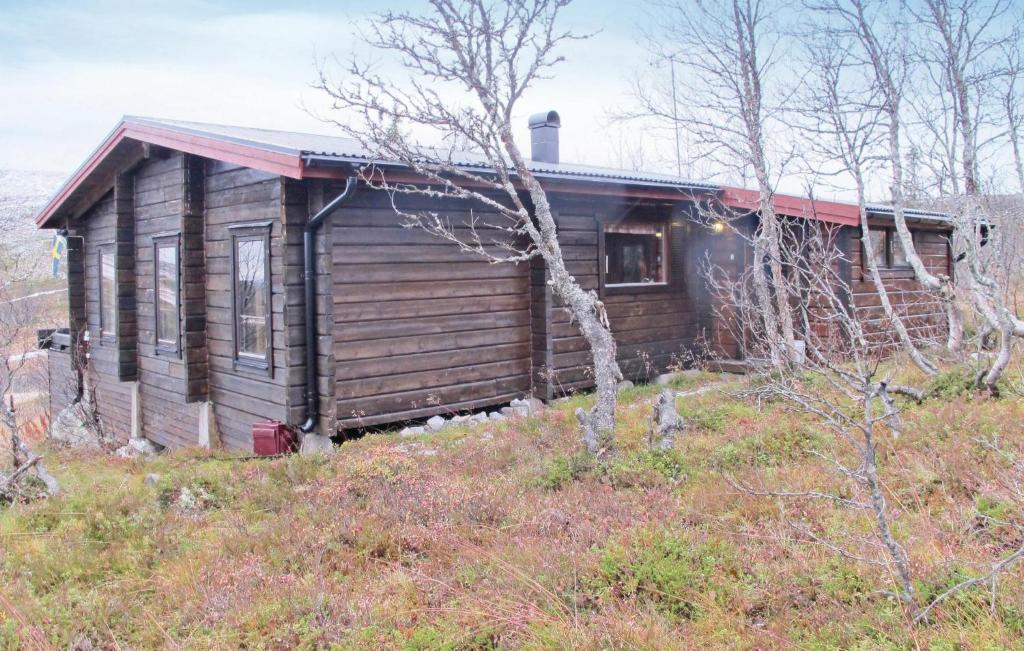 Beautiful Home In Vemdalen With 3 Bedrooms, Sauna And Internet