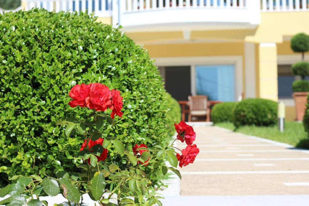 Shemesh Gardens House photo 4