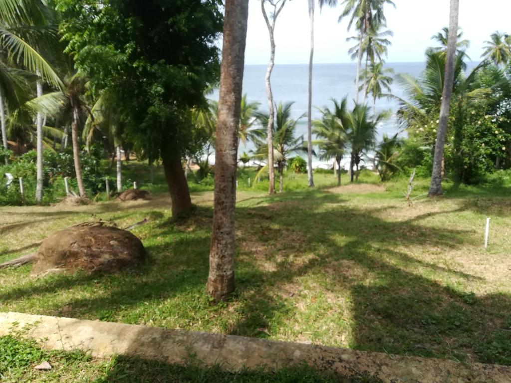 Star Beach Hotel photo 3