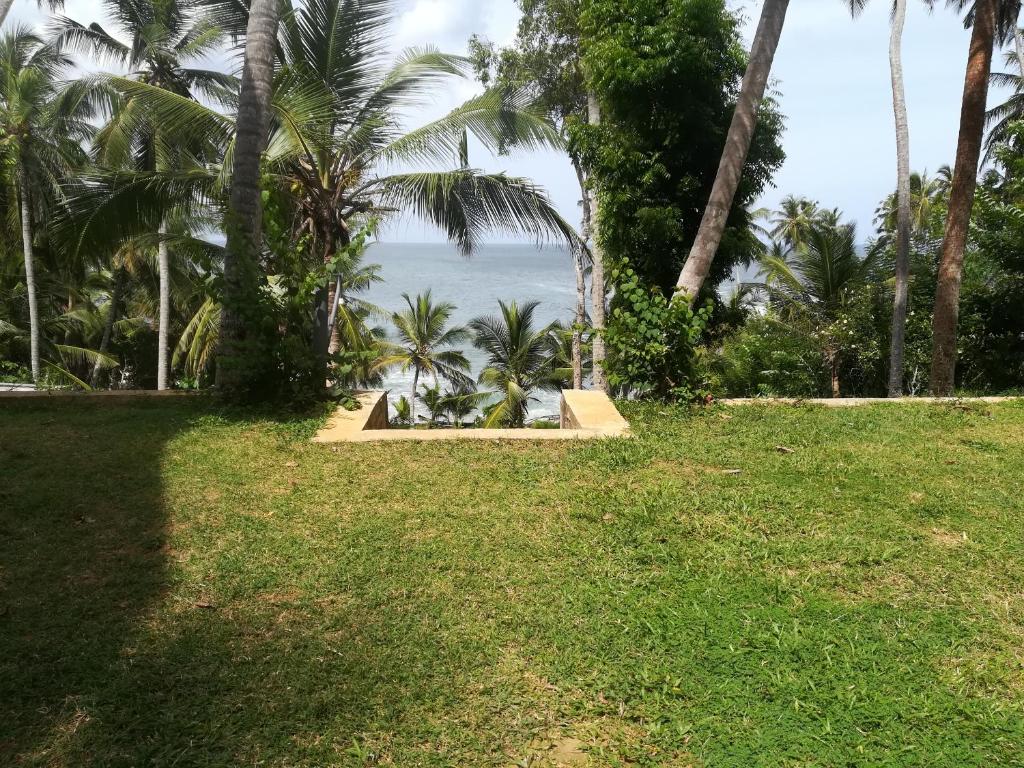 Star Beach Hotel photo 4