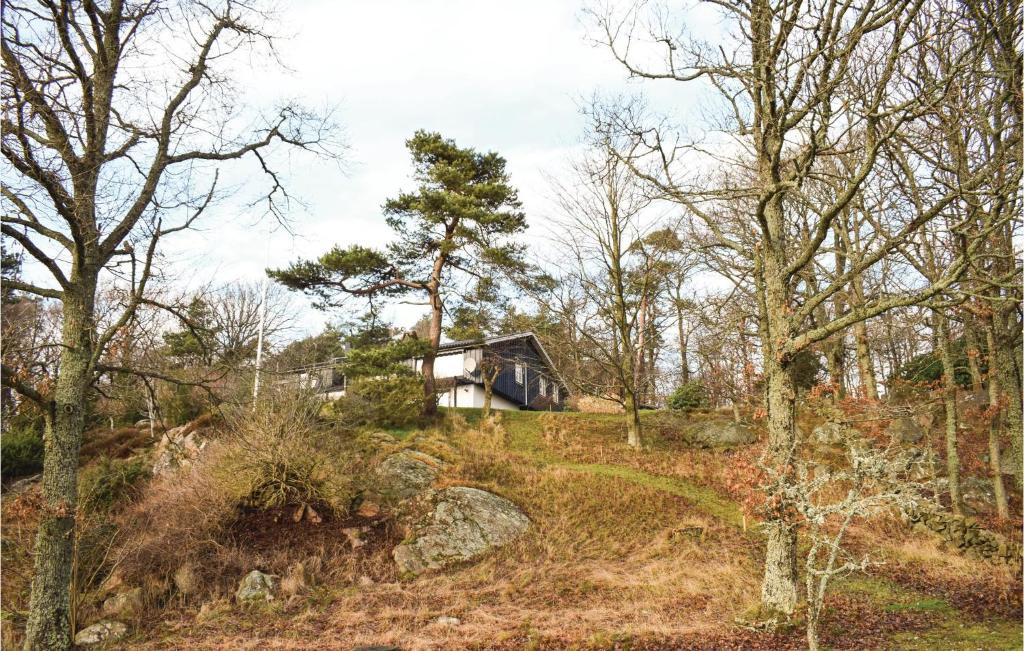 Amazing Home In Haverdal With 4 Bedrooms And Wifi photo 4
