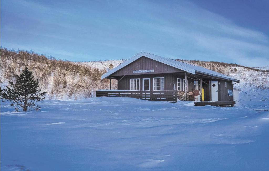 Tjeldya photo 3