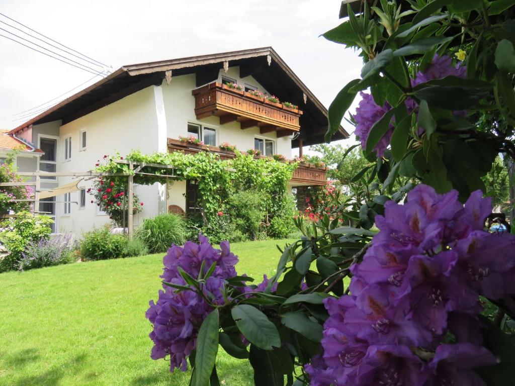 Ferienwohnung Auszeit photo 3