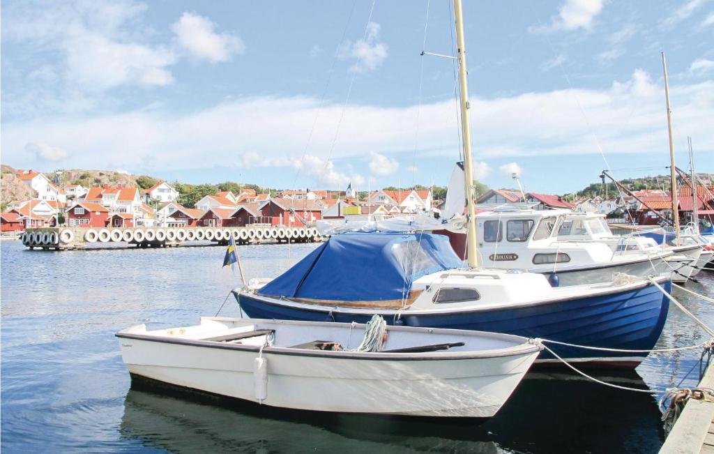 Amazing Home In Bovallstrand With 3 Bedrooms And Wifi photo 3
