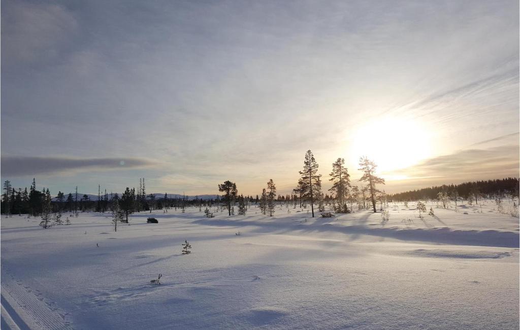 Beautiful Home In Rendalen With 3 Bedrooms And Sauna photo 4