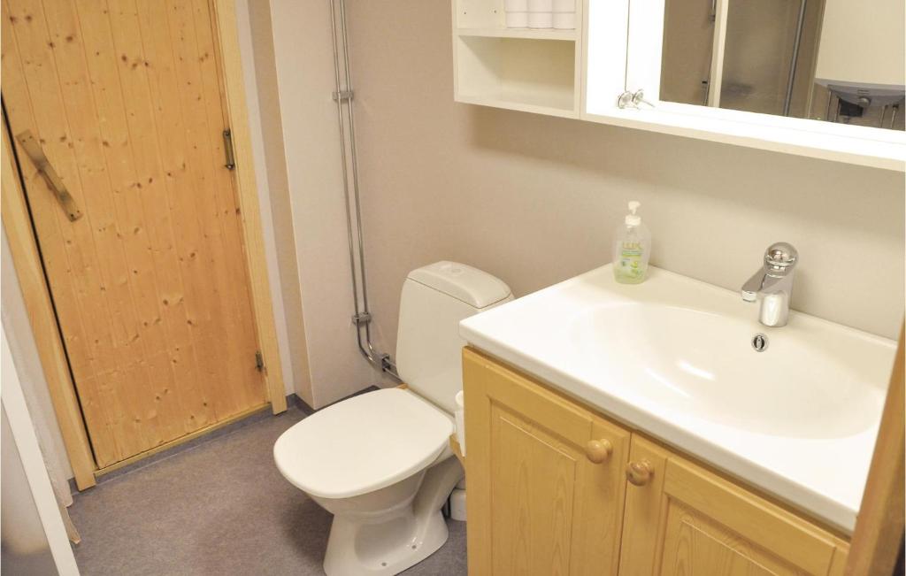 Beautiful Home In Lofsdalen With 3 Bedrooms, Sauna And Wifi photo 3