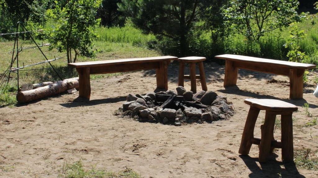 Pod Brzozą photo 4