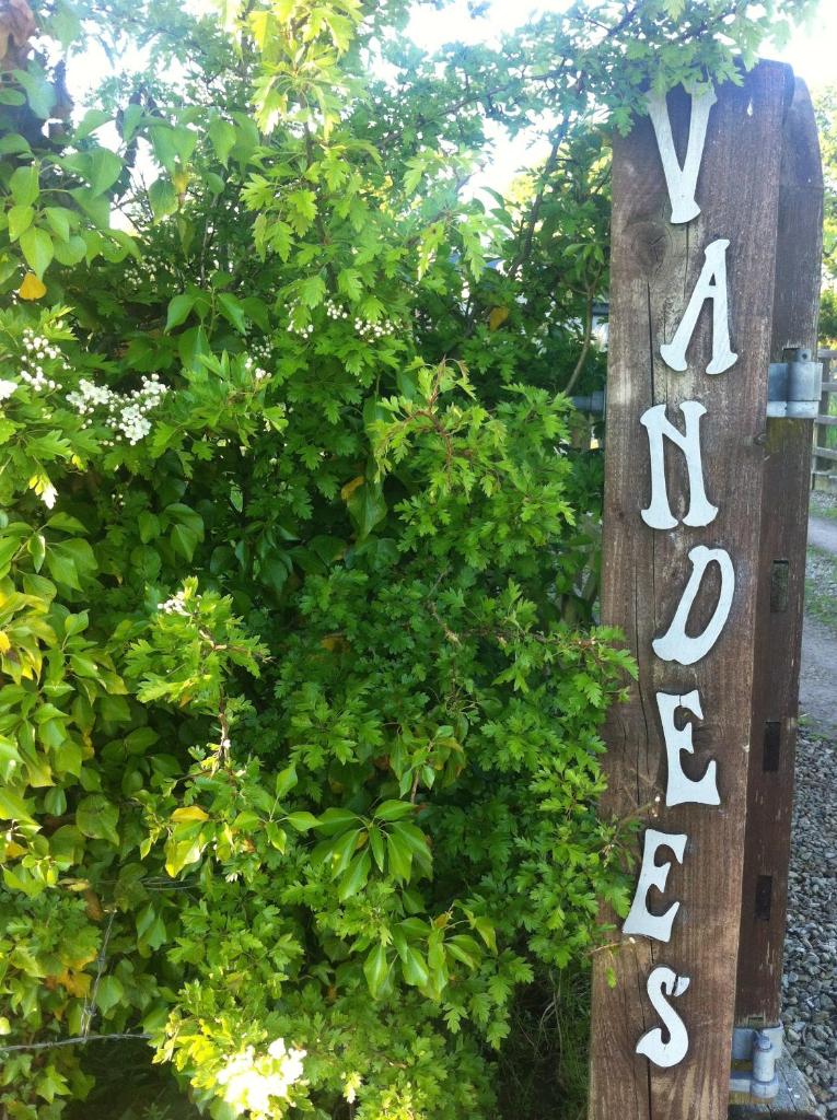 The Vandees photo 1