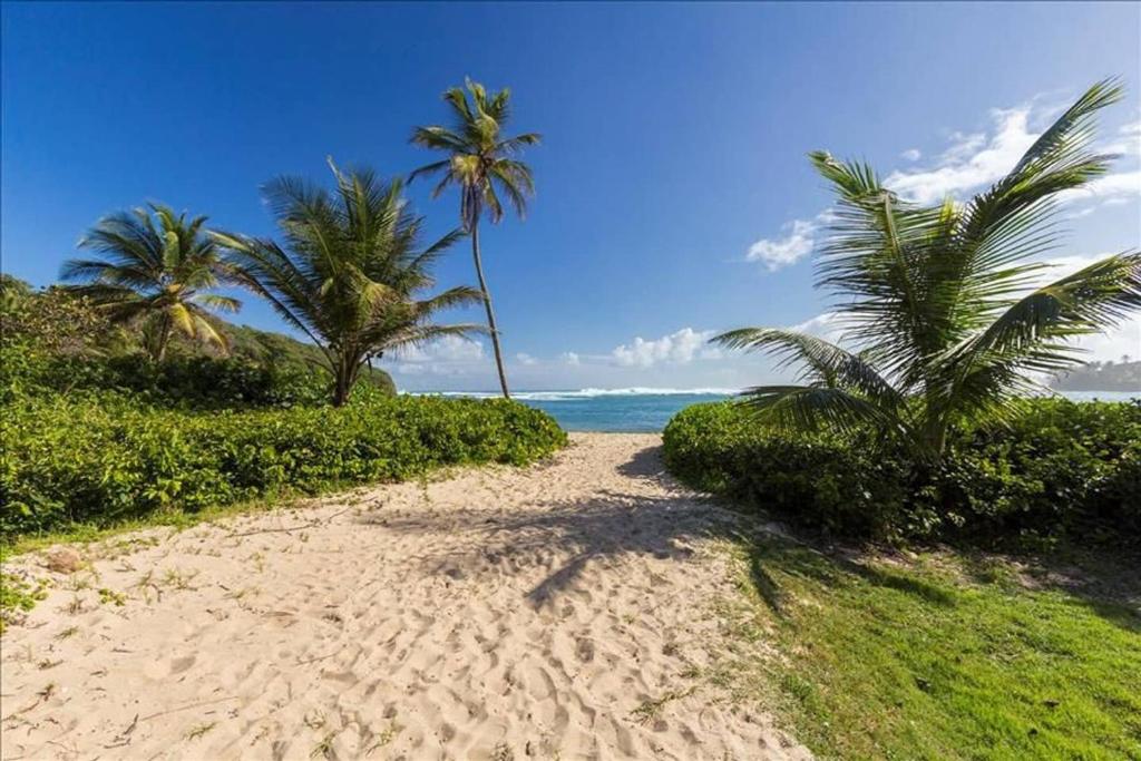 Villa Iris 2 story ocean view villa w/ pool access photo 3