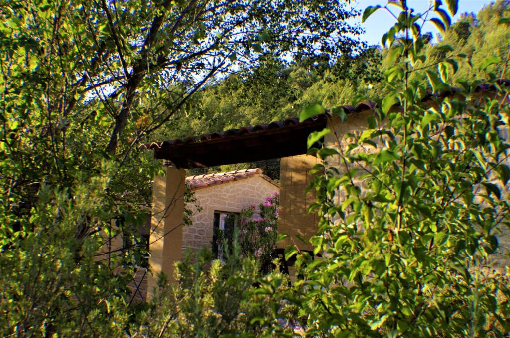 Domaine de bois joli photo 2