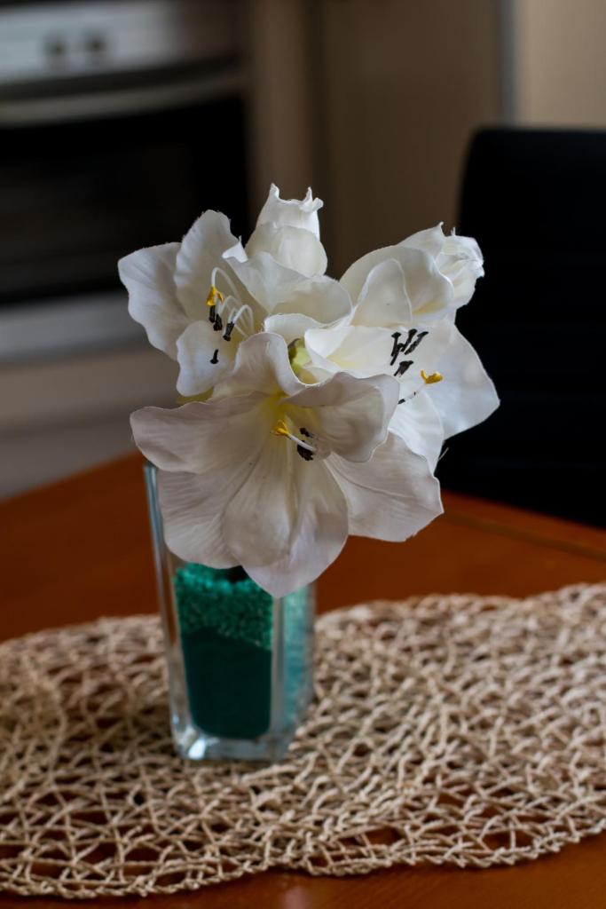 King Apartments Room Type - Deluxe Apartment