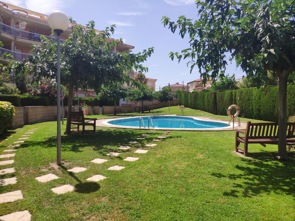 Oliveres III photo 3