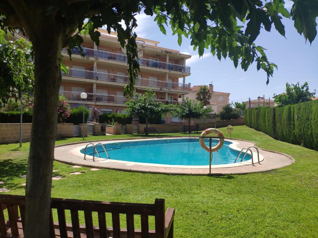 Oliveres III photo 2